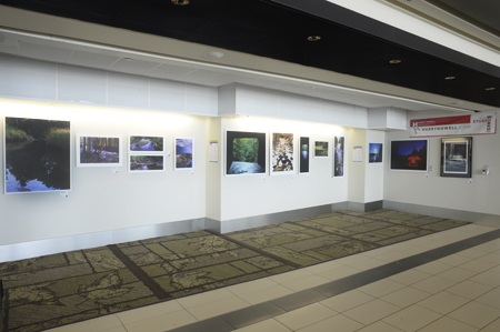 Photo Art Exhibition