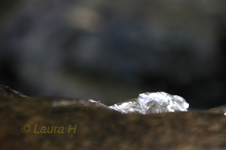Laura H photo - diamonds in the creek?! - Creative Fundamentals Photography Class
