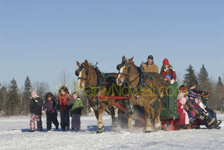 Sleigh ride - Sugarbush photo safari - Ottawa Valley