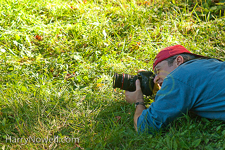 Creative Fundamentals Photo Workshop