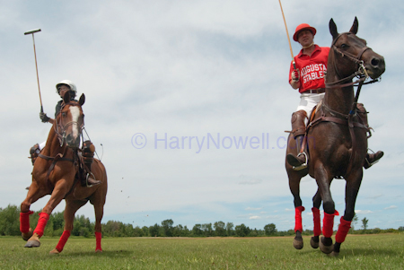 Polo photography