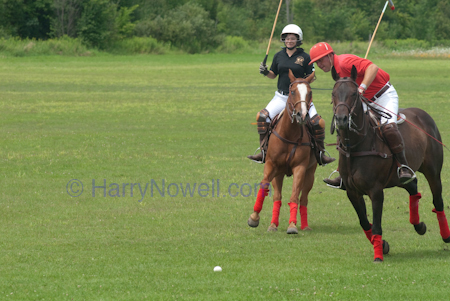 Polo photography