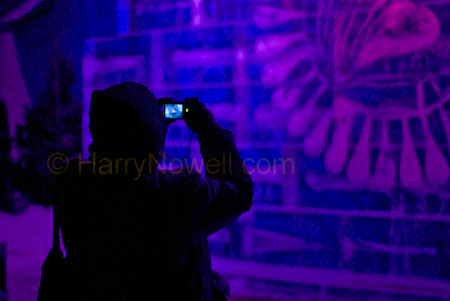 Night Light