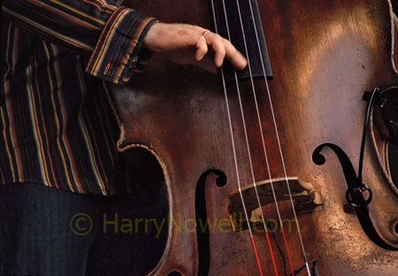 Music festival Photo Exhibition - Jazzestival - Ottawa