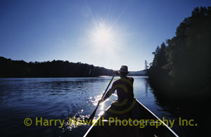 HarryNowell.com