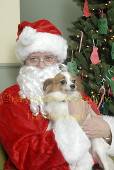 Photo of Santa and Dog