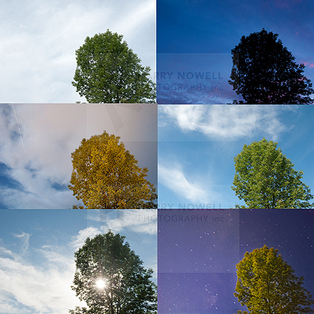 photo exposure variations