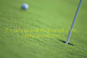 Golf photo.