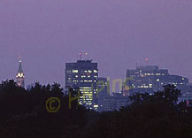 Night Lights!